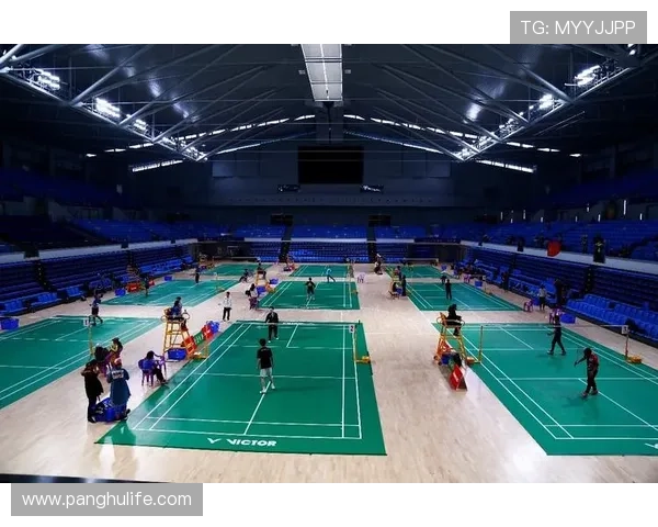 武汉羽毛球队技术分析与表现评估探讨及未来发展方向研究