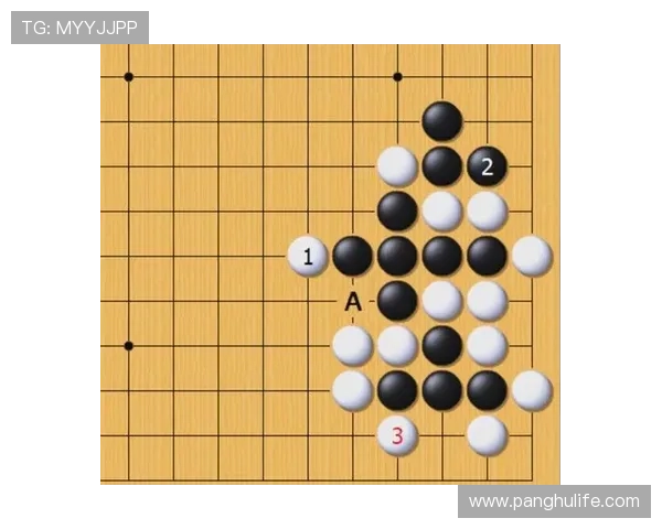 武汉羽毛球队进攻策略深度解析与技战术创新探讨 武汉羽毛球队进攻策略深度解析与技战术创新探讨