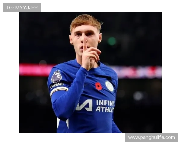 切尔西足球明星头像精选展示让你领略蓝军风采与魅力