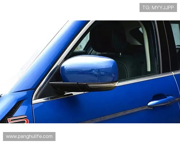 武汉排球队在洲际杯积分榜上以67分稳居第一名展现强劲实力